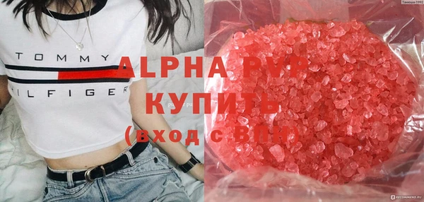 ГАЛЛЮЦИНОГЕННЫЕ ГРИБЫ Абаза