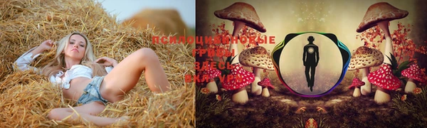 mix Снежинск