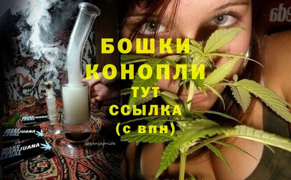 ГАЛЛЮЦИНОГЕННЫЕ ГРИБЫ Абаза