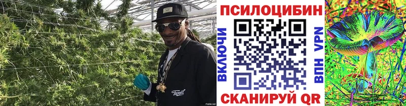 Псилоцибиновые грибы Cubensis mega ТОР Альметьевск наркота